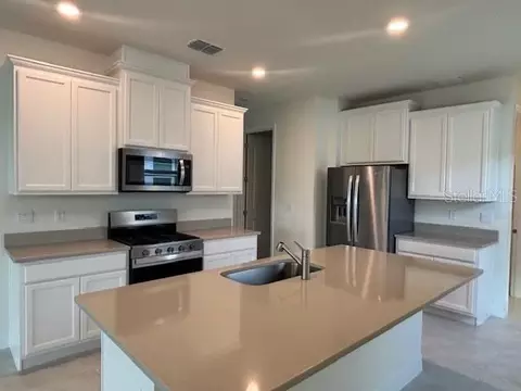 3975 Kennebunk Loop, Mount Dora, FL 32757 photo 2