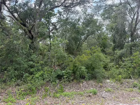 7419 Southeast Ave, Webster, FL 33597