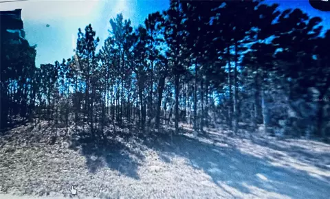 Marion Oaks, Ocala, FL 34473
