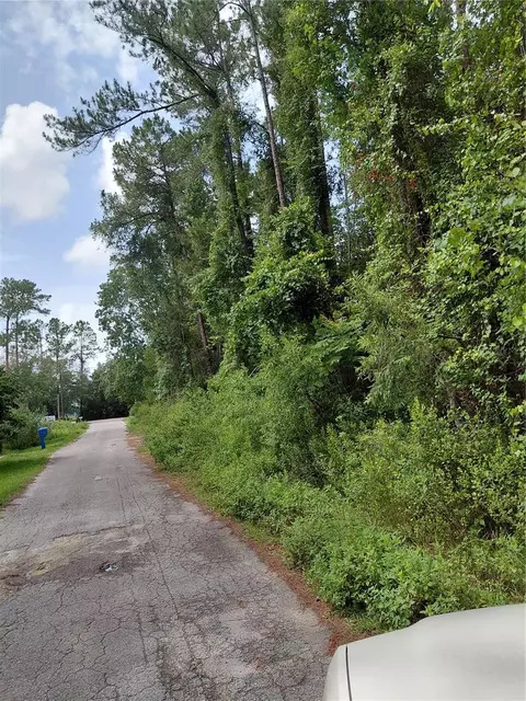 James Street, Astor, FL 32102