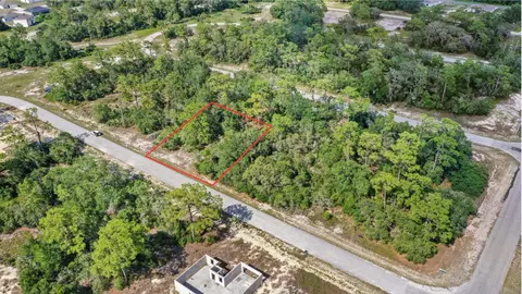 1309 Homosassa Ct, Kissimmee, FL 34759