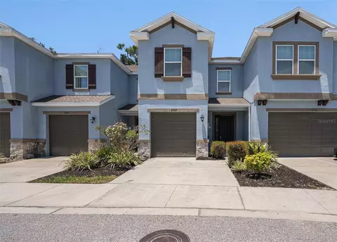 6703 Citrus Creek Ln, Tampa, FL 33625