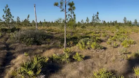 Holopaw Groves Road, Saint Cloud, FL 34773