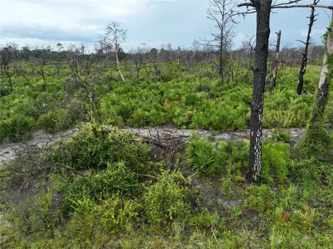 3520 Mariana Ave, Lake Placid, FL 33852