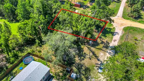 40850 Pine Tree Ln, Eustis, FL 32736 photo 4