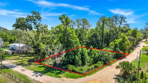 40850 Pine Tree Ln, Eustis, FL 32736 photo 2