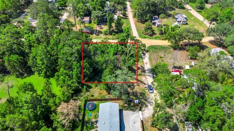 40850 Pine Tree Ln, Eustis, FL 32736 photo 9