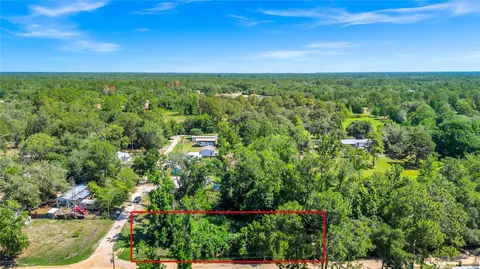 40850 Pine Tree Ln, Eustis, FL 32736 photo 6