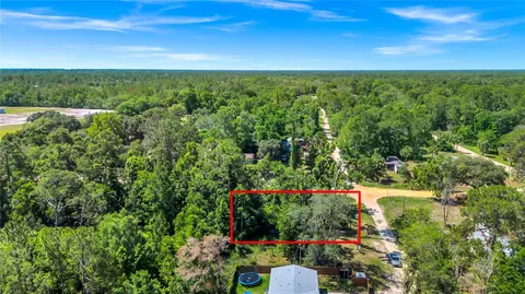 40850 Pine Tree Ln, Eustis, FL 32736 photo 5