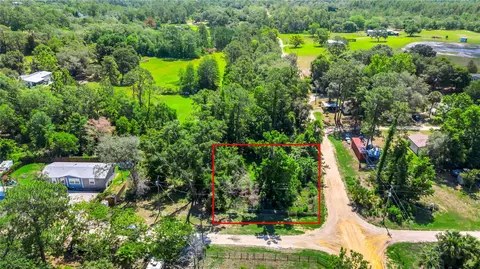 40850 Pine Tree Ln, Eustis, FL 32736 photo 8