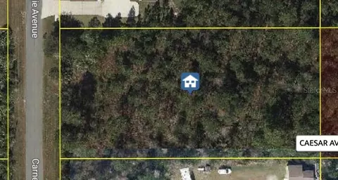Carnegie Avenue, Orlando, FL 32833