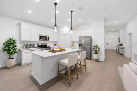Kitchen - 3977 Willowbrook Dr, Edgewater, FL 32141 photo 3 of 4