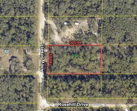 7374 Alloy St, Webster, FL 33597