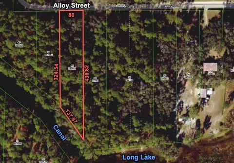7255 Alloy St, Webster, FL 33597