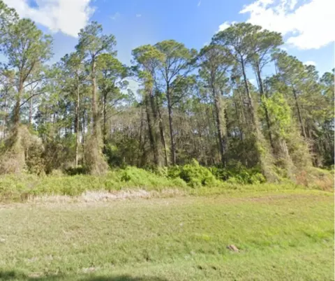 Georgetown Denver Rd, Georgetown, FL 32139