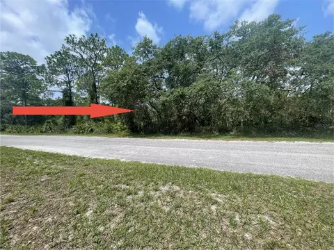 E Cashew Court, Eustis, FL 32736 photo 2
