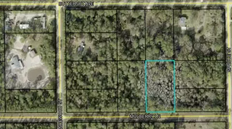 5414 Mulberry Ln, Bunnell, FL 32110
