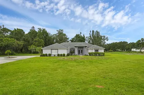 15038 Willow Ln, Tavares, FL 32778