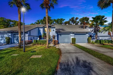 4239 Brentwood Park Cir, Tampa, FL 33624