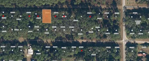 423 Dogwood Ave, Georgetown, FL 32139