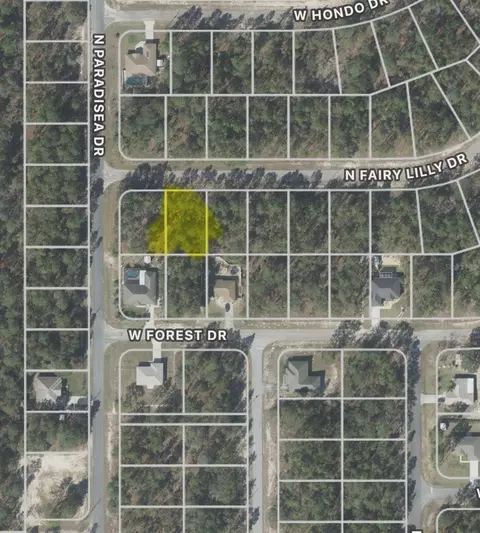 9317 N Fairy Lilly Dr, Citrus Springs, FL 34433