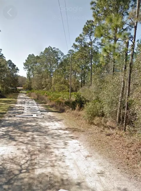 Appaloosa Drive, Interlachen, FL 32148