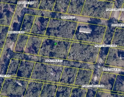 Goethals Street, Webster, FL 33597