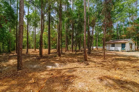 569 NE 356th Ave, Old Town, FL 32680