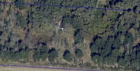 16213 Clarence Lee Rd, Groveland, FL 34736