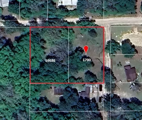 16686 NE 17th Pl, Silver Springs, FL 34488