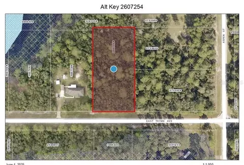 lot9 E Thyme Ave, Eustis, FL 32736