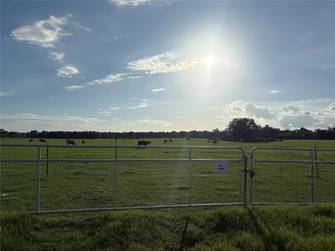 13994 County Road 209, Oxford, FL 34484