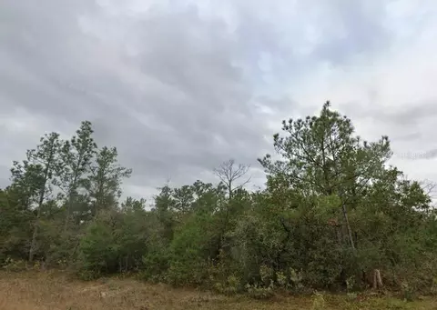 Drumlin Street, Chipley, FL 32428