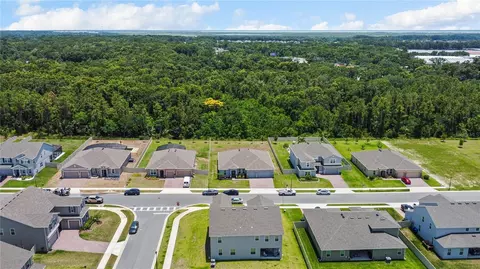 View/Area - 5264 Obsidian Gate Dr, Mount Dora, FL 32757 photo 8 of 11