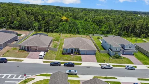 View/Area - 5264 Obsidian Gate Dr, Mount Dora, FL 32757 photo 6 of 11