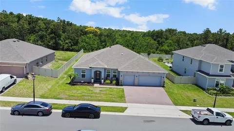 View/Area - 5264 Obsidian Gate Dr, Mount Dora, FL 32757 photo 2 of 11