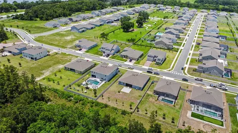 View/Area - 5264 Obsidian Gate Dr, Mount Dora, FL 32757 photo 9 of 11