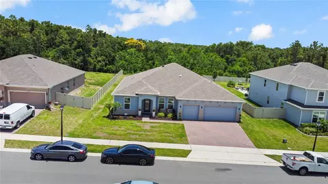View/Area - 5264 Obsidian Gate Dr, Mount Dora, FL 32757 photo 1 of 11