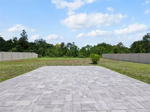 Exterior - 5264 Obsidian Gate Dr, Mount Dora, FL 32757 photo 7 of 7