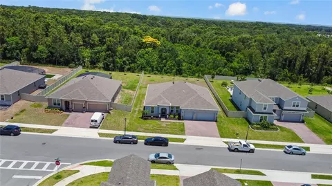 View/Area - 5264 Obsidian Gate Dr, Mount Dora, FL 32757 photo 4 of 11
