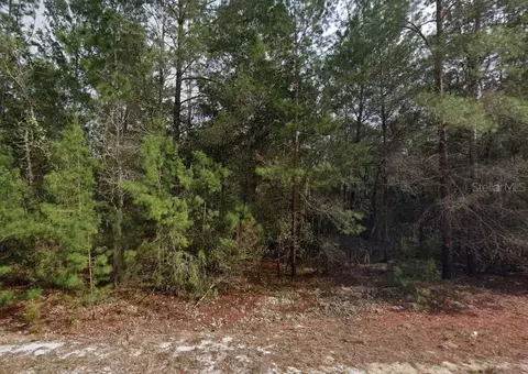 Theresa Avenue, Interlachen, FL 32148