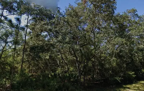 Theresa Avenue, Interlachen, FL 32148