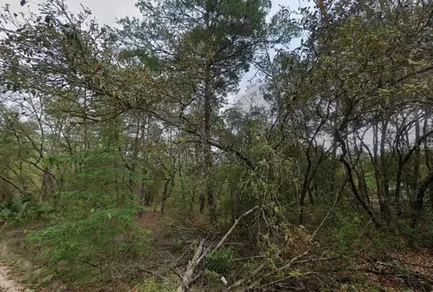 111 N Carolina Dr, Satsuma, FL 32189