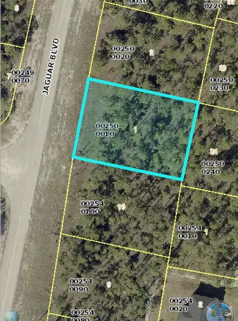 436 Jaguar Blvd, Lehigh Acres, FL 33974