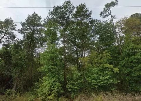 323 Ridge Rd, Satsuma, FL 32189