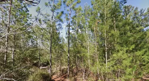 Orchid Drive, Interlachen, FL 32148