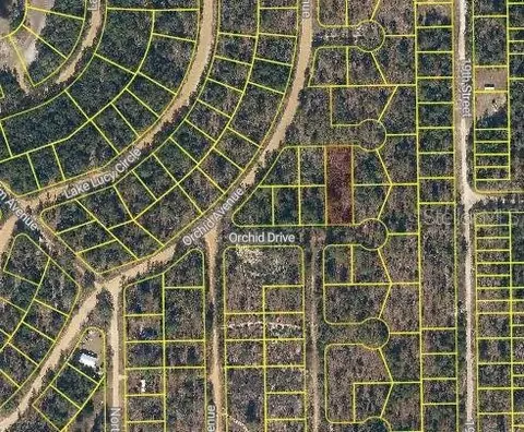 Orchid Drive, Interlachen, FL 32148 photo 2