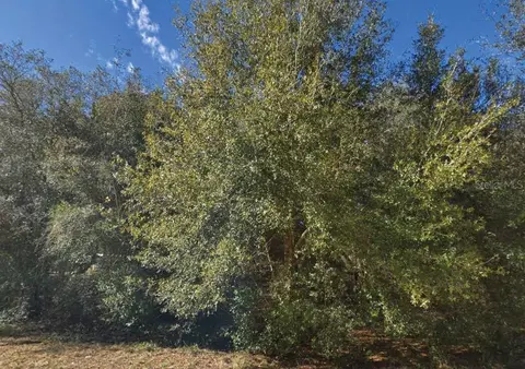 Maltas Avenue, Interlachen, FL 32148