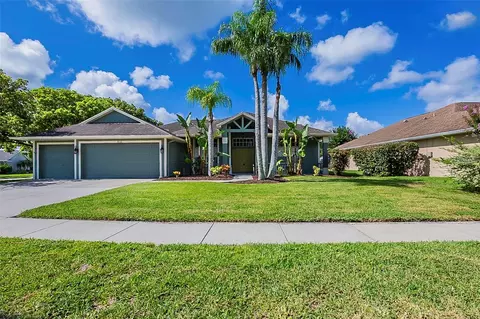 8112 Maidencane Dr, Trinity, FL 34655
