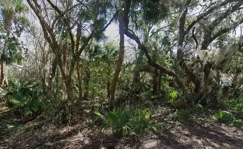 Nancy Street, Oak Hill, FL 32759